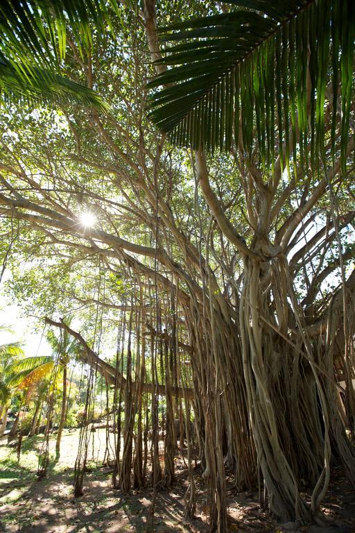 Lux* Grand Gaube Resort & Villas Екстериор снимка Banyan tree